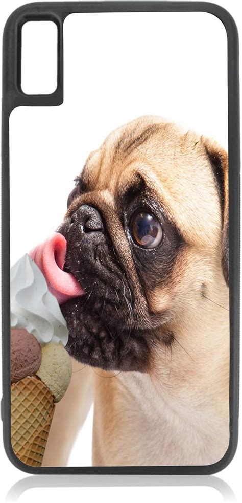 Jacks Outlet Pug Dog Licking An Ice Cream Cone Pet