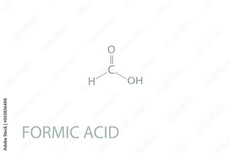 Formic Acid Molecular Skeletal Chemical Formula Stock Vector Adobe Stock