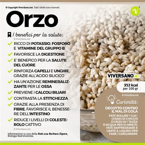 Orzo Propriet Benefici Valori Nutrizionali E Controindicazioni