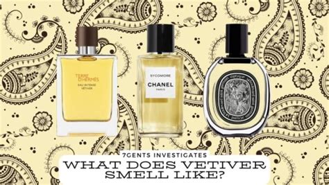 What Does Vetiver Smell Like 7Gents