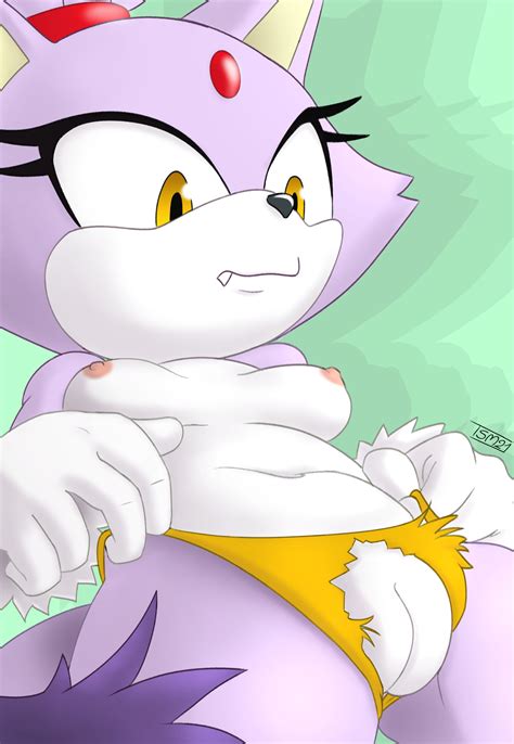 Post 5519347 Blaze The Cat Sonic The Hedgehog Series The Splash Master