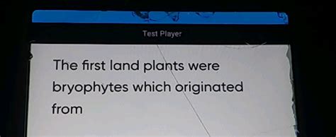 Test Playe The first land plants were | StudyX