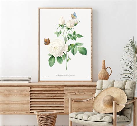 White Roses Wall Art White Flowers With Butterflies Vintage Botanical