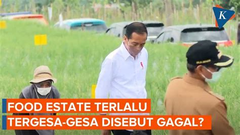 Food Estate Disebut Gagal Dosen Universitas Brawijaya Sebut Ada