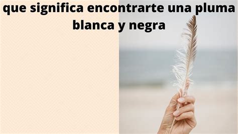 Que Significa Encontrarse Con Una Pluma Blanca Y Negra Medita Con