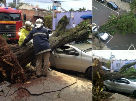 G1 Temporal Destelha Casas E Derruba árvores Em Cascavel No Oeste Do