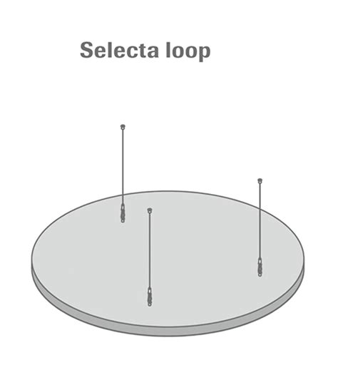 Selecta Loop — Owa Odenwald Faserplattenwerk Gmbh