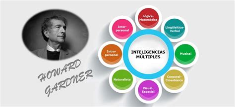 La Teor A De Las Inteligencias M Ltiples Armon A Psic Logos