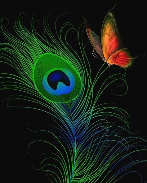 Beautiful Peacock Feather Isolated On Black Artofit