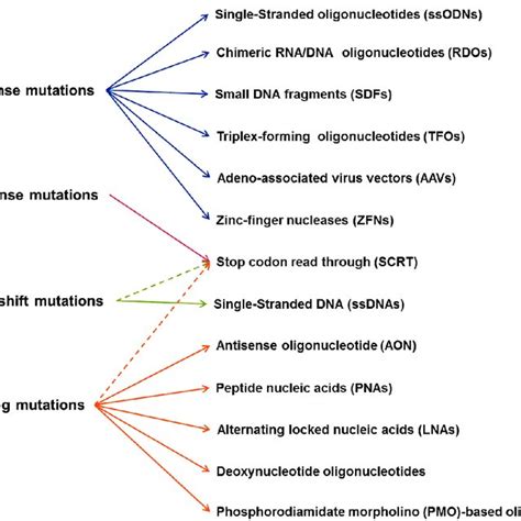 Mutation-targeted therapies reviewed in this paper. | Download ...