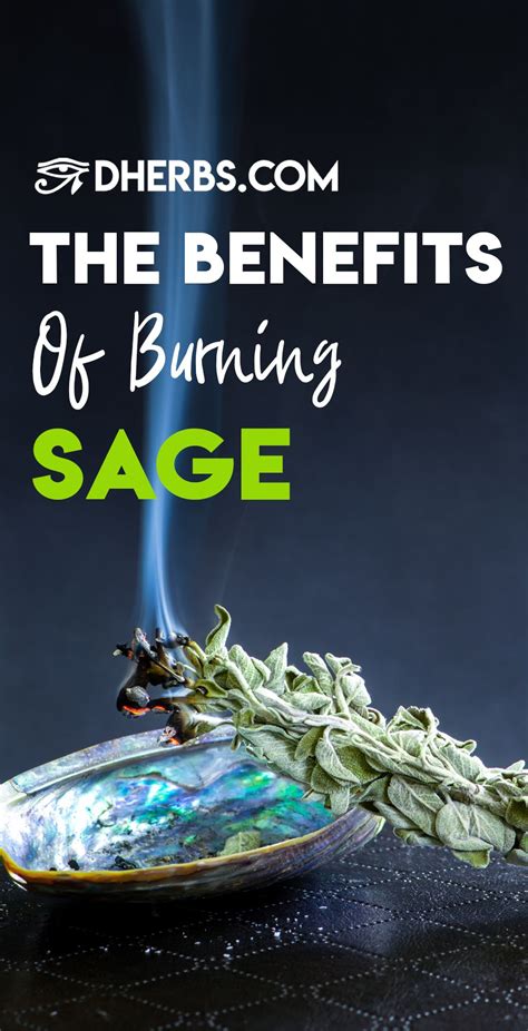 Benefits Of Burning Sage Artofit