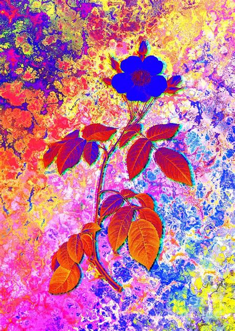 Acid Neon Big Leaved Climbing Rose Botanical Art N 0645 Painting By