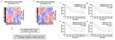 2022国自然热点洞察 Lncrna高分研究套路都在这里了 知乎