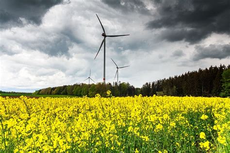 wind energy power pinwheels  photo  pixabay pixabay