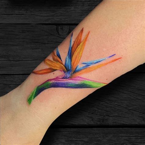 150+ Attractive Bird of Paradise Tattoo Ideas (2024) - TattoosBoyGirl