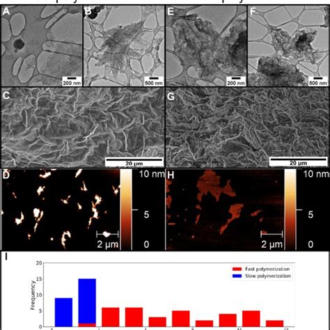 Dry Cryo Tem Sem And Afm Micrographs And Histogram Of Plla B Peg