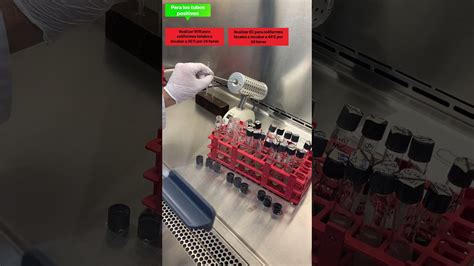 Escherichia Coli En Alimentos M Todo De Fermentaci N De Tubos M Ltiples