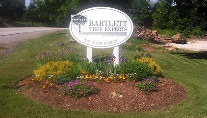 Bartlett Tree Experts Tree Service And Shrub Care In Manchester Vt