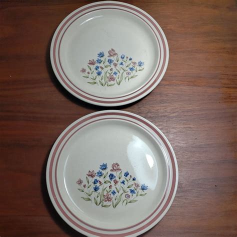 Newcor Stoneware Goodearth Set Of Salad Plates Ebay