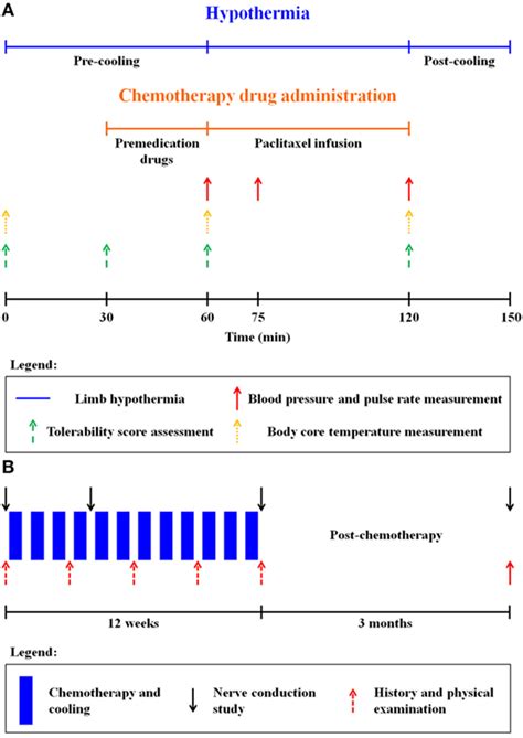 Frontiers Limb Hypothermia For Preventing Paclitaxel Induced