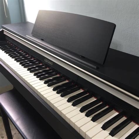 Casio CELVIANO Digital Piano AP-220, Hobbies & Toys, Music & Media ...