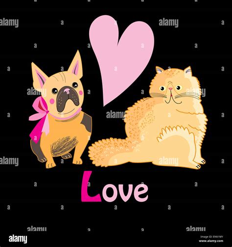 Cat And Dog Lovers Stock Photo Alamy