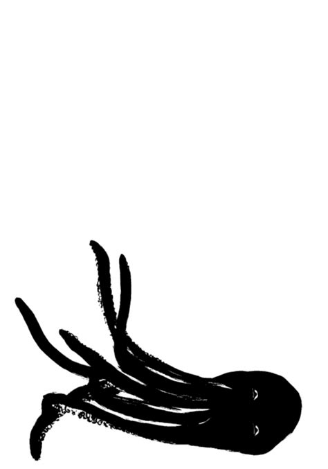 THE NAKED OCTOPUSBY GABRIEL ROSENSTOCK The Onslaught Press