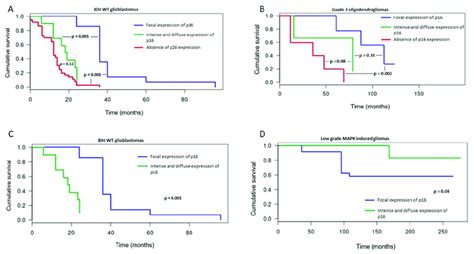 Kaplan Meier Survival Curves According To The Pattern Of P16 Expression Download Scientific