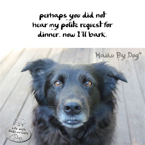 Haiku by Dog: Polite : Life with Dogs and Cats