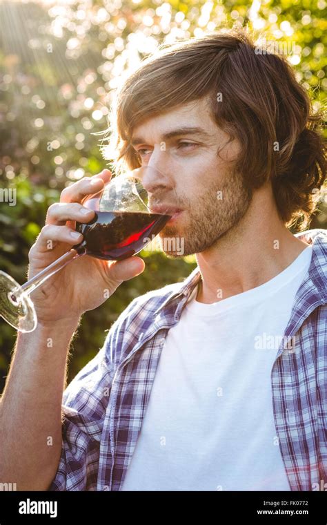 Serious Man Drinking Red Wine Stock Photo Alamy