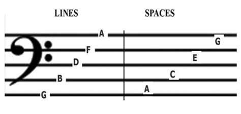 The Musical Staff or Stave | Letters, Musicals, Math