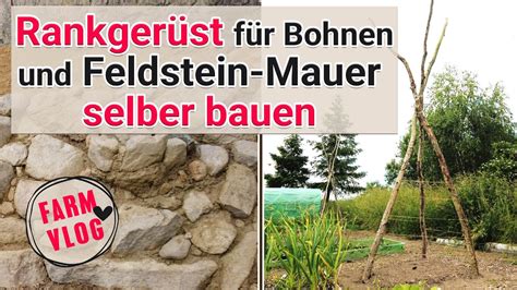 wir bauen ein Rankgerüst für Bohnen und planen ein neues Projekt