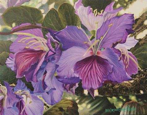 Orchids In The Shade Robert C Murray Ii Paintings Prints