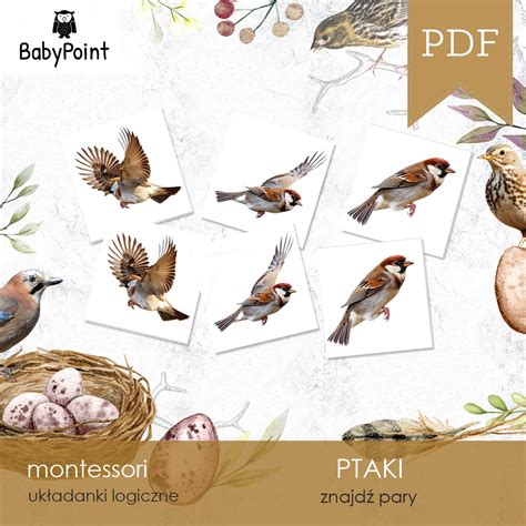 PTAKI - Znajdź pary - BabyPoint