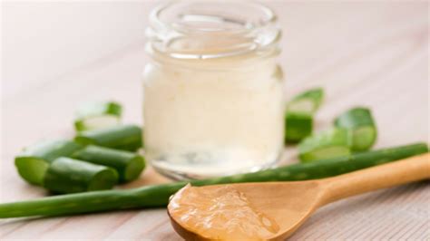 Cómo Hacer Crema De Aloe Vera Paso A Paso Y De Forma Fácil