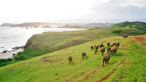 Gili Trawangan Lombok Panduan Wisata Tips Liburan Terbaik