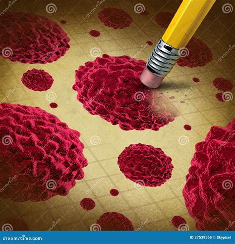 Cancer Treatment And Car T Cell Therapy Vector Illustration