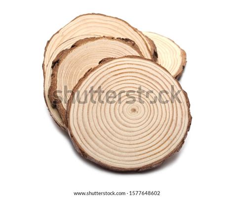 Cross Section Tree Trunks Stumps Isolated Stock Photo 1577648602