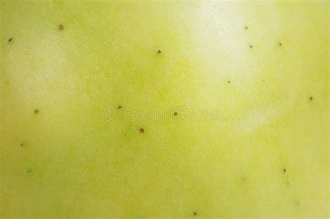 macro texture  apple peel green apple   background stock photo