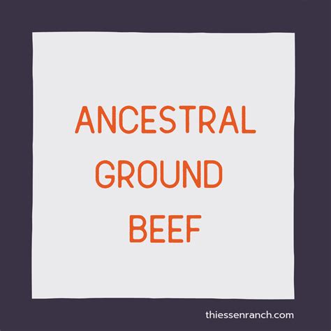 Ancestral Blend Ground Beef With Heart And Liver