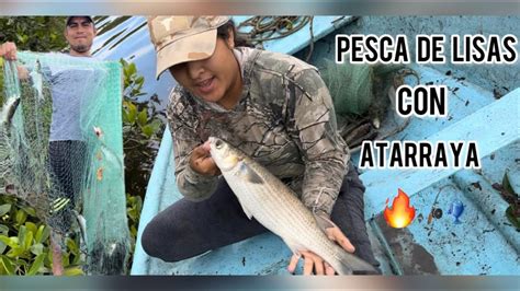 Pesca De Lisas Con Atarraya Youtube