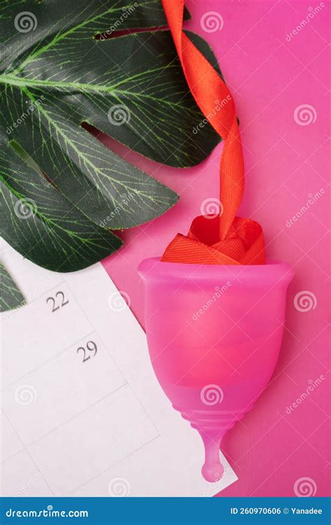 Menstrual Cup Hygiene Product Reusable Eco Friendly Zero Waste Stock