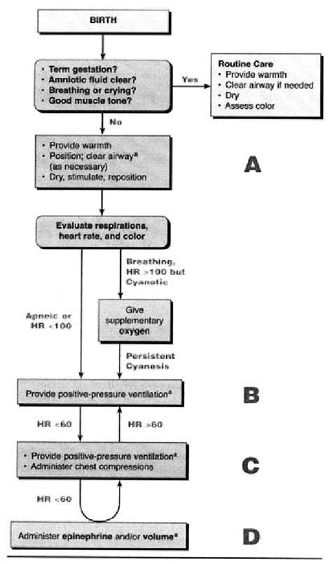 Neonatal Resuscitation Flow Sheet