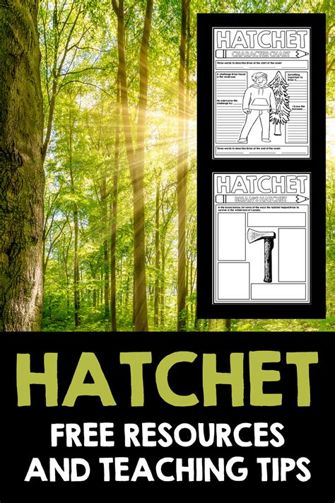 Hatchet Book Activities Novel Study Activities Interactive Notebook