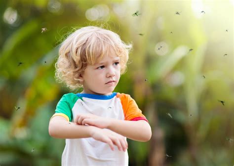 Quel remède de grand mère contre les piqures d insectes