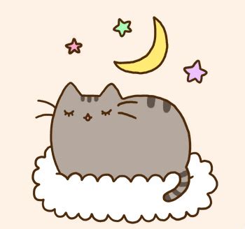 Pusheen Pusheen The Cat Photo Fanpop