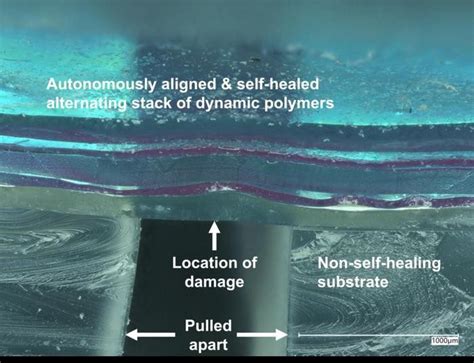 Desarrollan Una Piel Artificial Realista Y Autorreparable Que Har A