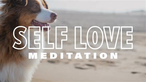 15 Minute Self Love Guided Meditation Self Forgiveness And Self Worth Raise Self Esteem 💜💕