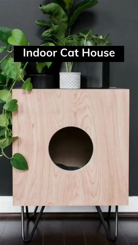 INDOOR CAT HOUSE | Cat furniture diy, Cat houses indoor, Cat house diy