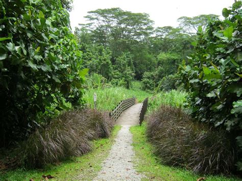 Singapore Walking Routes Admiralty Park To Sembawang